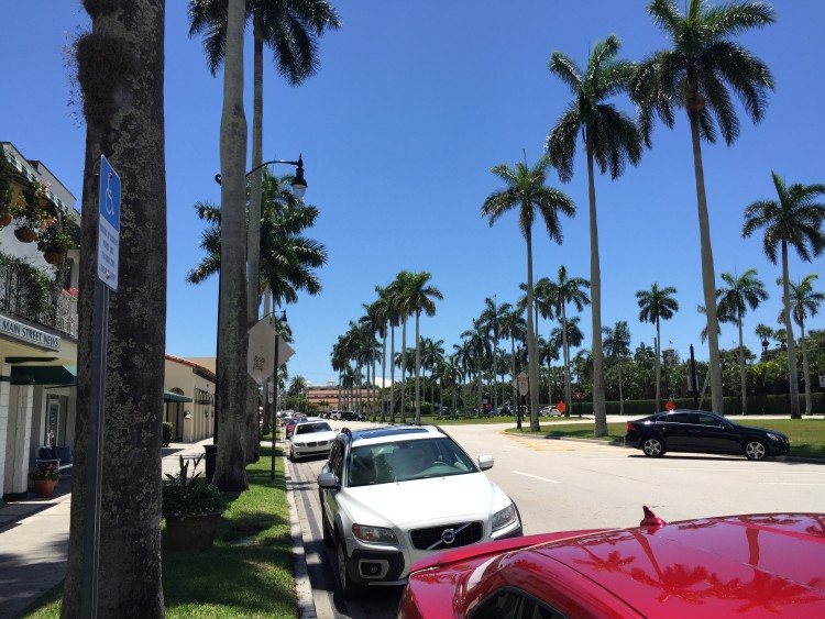 palm_beach_parking_meters.jpg