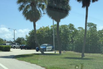 Summer Crime in The Town of Palm Beach