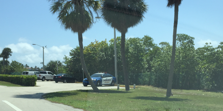 Summer Crime in The Town of Palm Beach