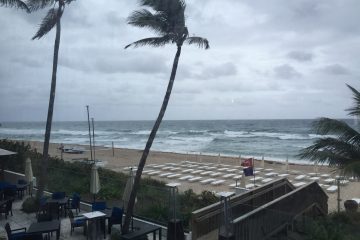 DDG Donates Sand to the Town of Palm Beach