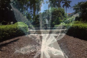 Medical Marijuana in the Town of Palm Beach