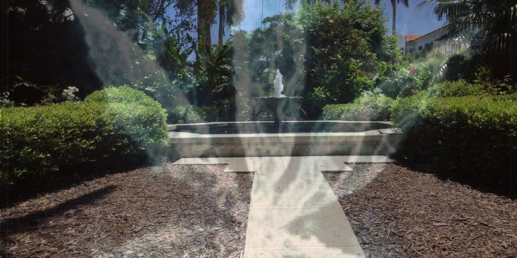 Medical Marijuana in the Town of Palm Beach