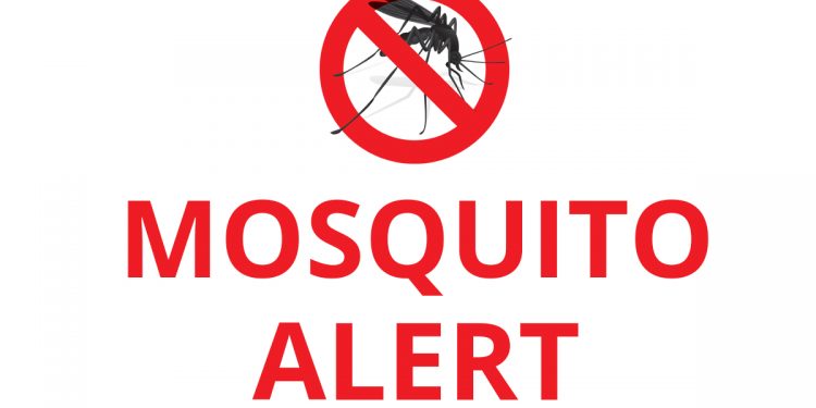Zika Alert in the Town of Palm Beach