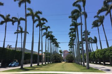 Outdoor Dining Allowed at Poinciana Plaza