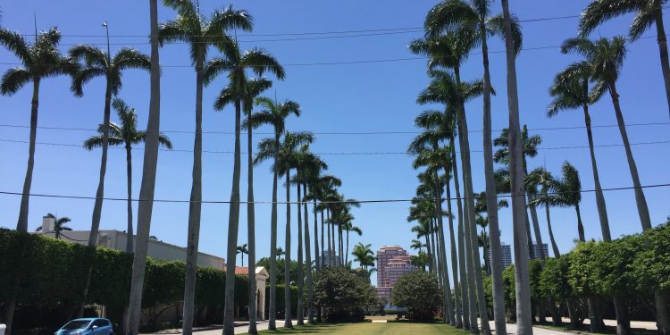 Outdoor Dining Allowed at Poinciana Plaza
