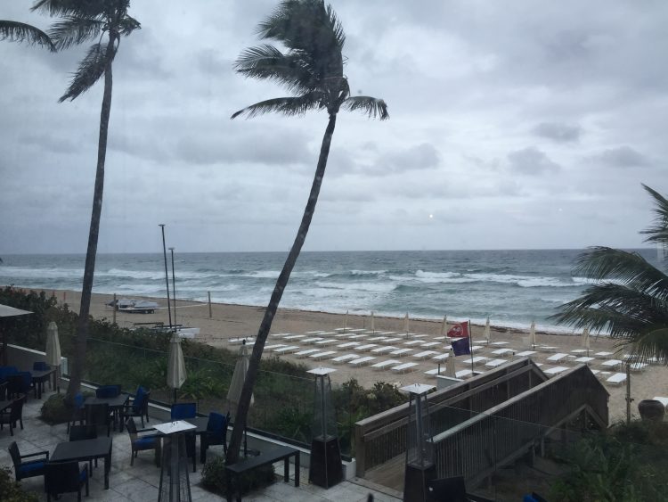 Town of Palm Beach Hurricane Season ID Cards