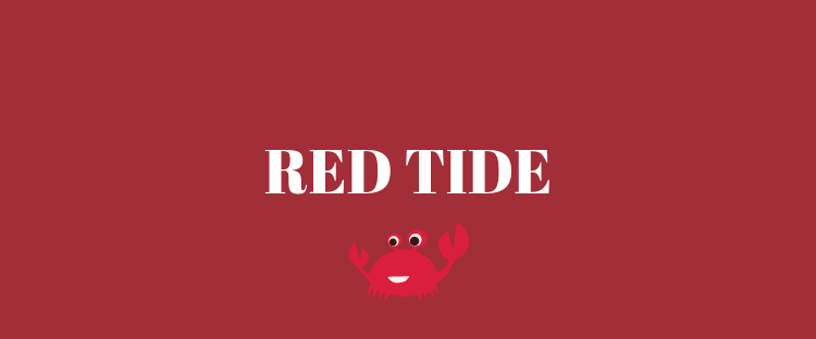 Local Palm Beaches Closed This Weekend