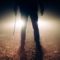 Various Crimes Occur in Palm Beach Last Week