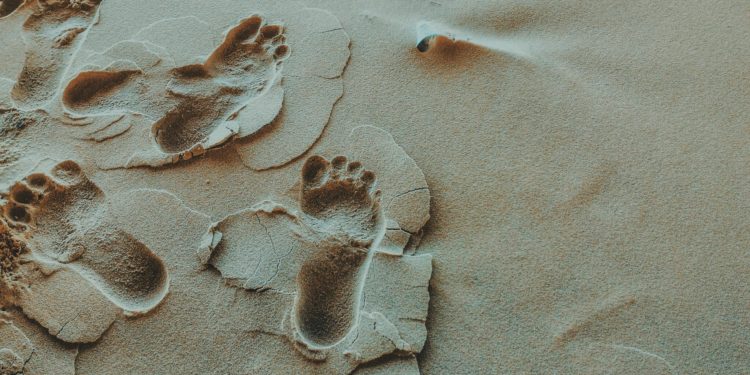 Town of Palm Beach Shore Protection Board Needs Members