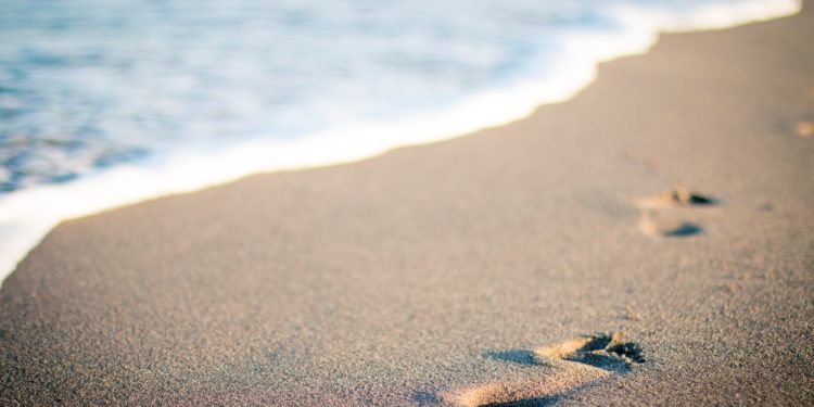 Men-of-War Plague South Florida Beaches