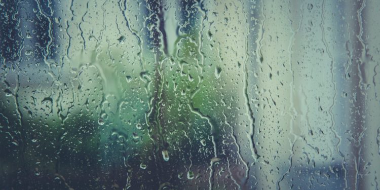 Storms Forecast Friday in Palm Beach County